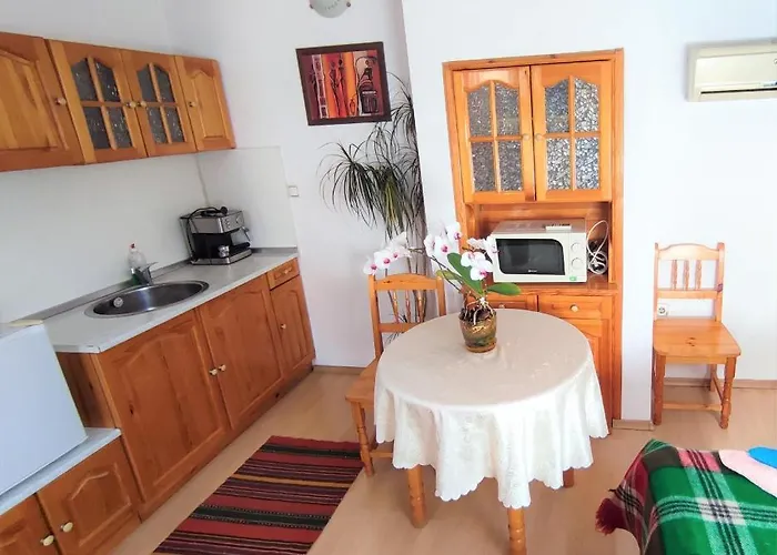 къща чолаков и син - за гости ゲストハウス 4*