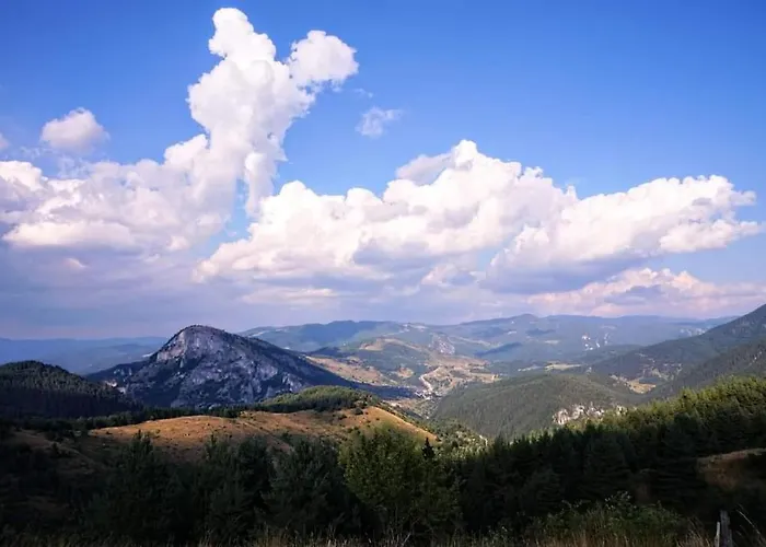 къща чолаков и син - за гости デヴィン
